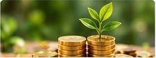 Coins and a growing plant